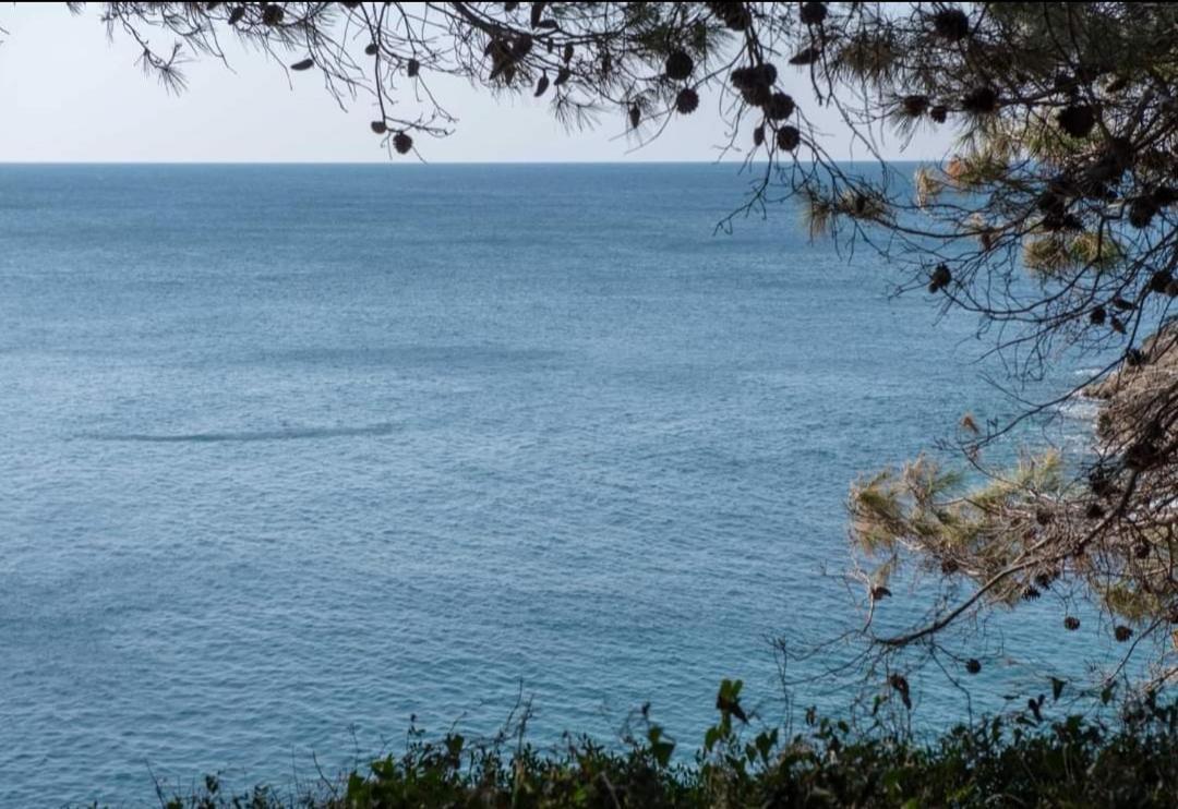 Apartment Antonella Fasana Fažana Εξωτερικό φωτογραφία