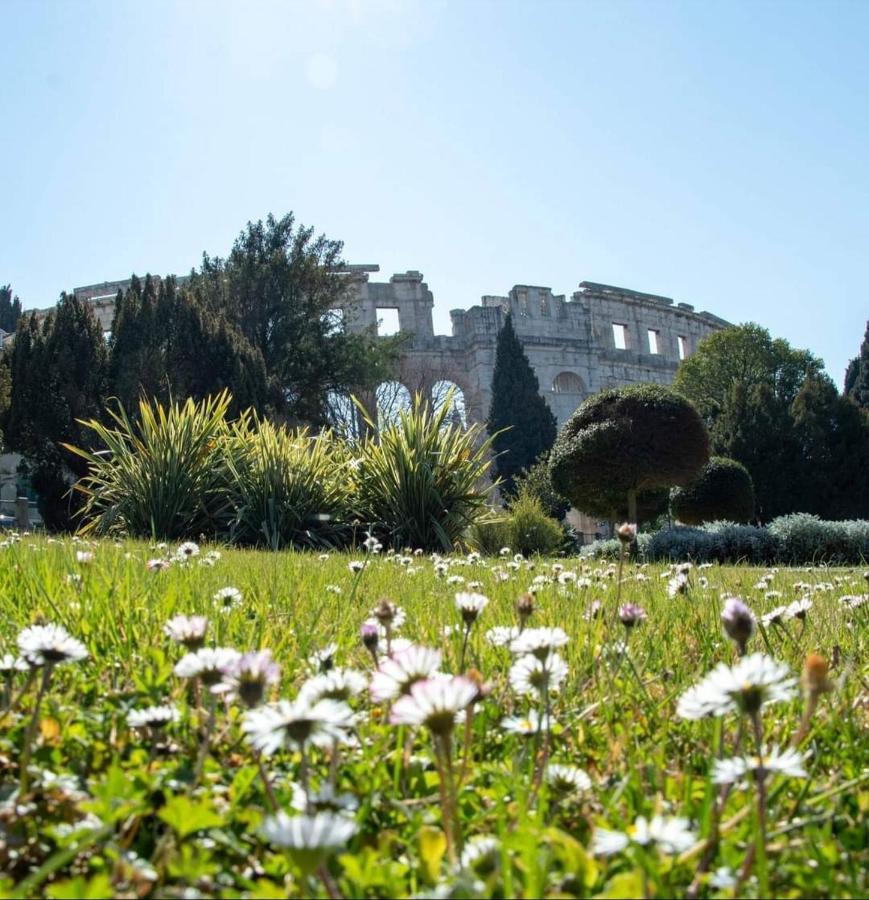 Apartment Antonella Fasana Fažana Εξωτερικό φωτογραφία
