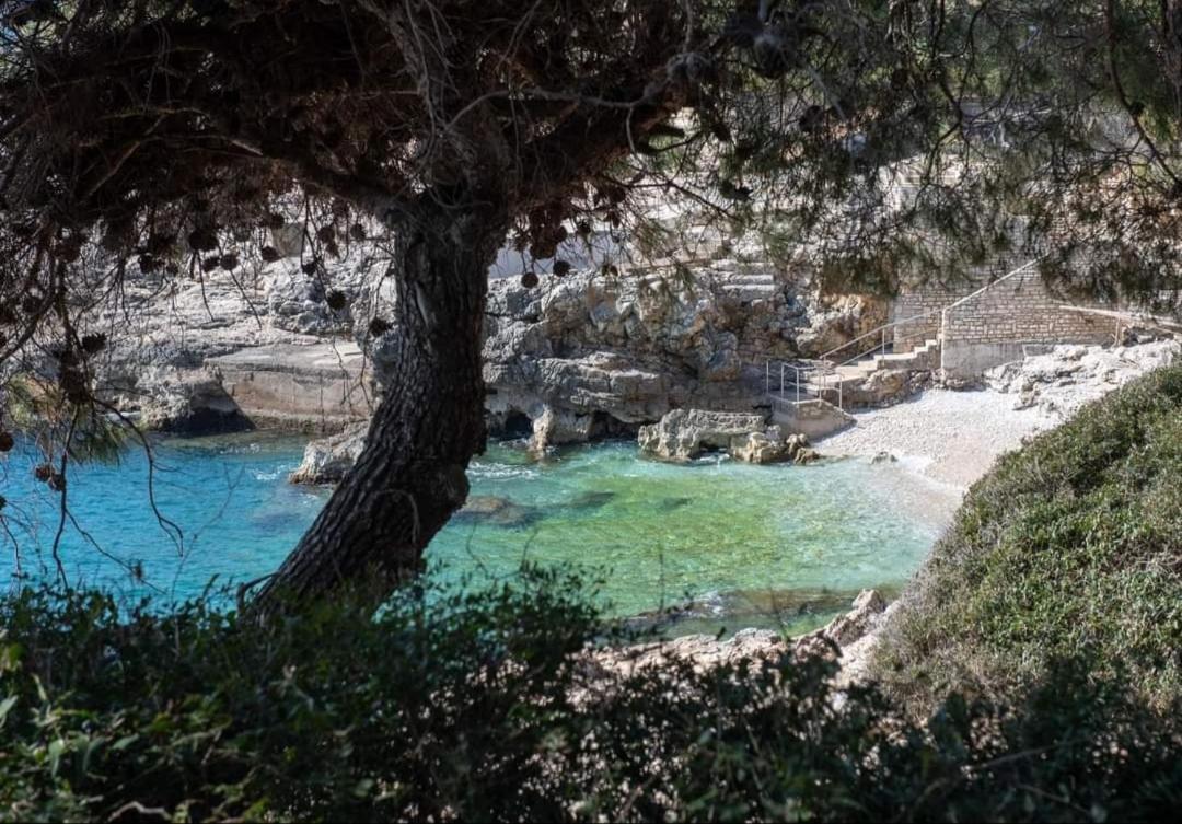 Apartment Antonella Fasana Fažana Εξωτερικό φωτογραφία